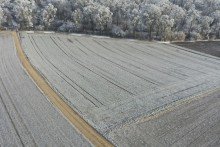 5 0,68 ha Ackerland in Z�schingen, 1a Lage,  1a Ertr�ge, 1a Investment