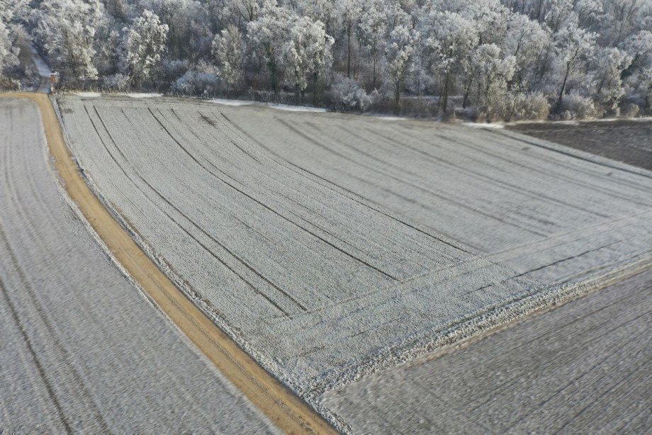 5 Land- / Forstwirtschaft - Grdst. Z�schingen