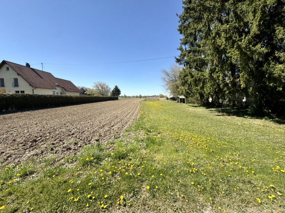 17 Haus Lauingen