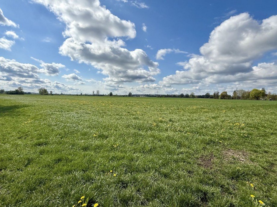 5 Land- / Forstwirtschaft - Grdst. Konzenberg