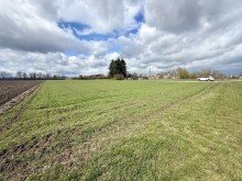 5 Die seltene Gelegenheit f�r ihren Betrieb! 1,19 ha Ackerland in Wittislingen