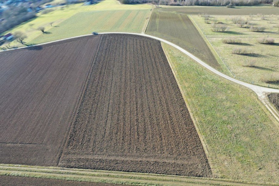 4 Land- / Forstwirtschaft - Grdst. Haunsheim