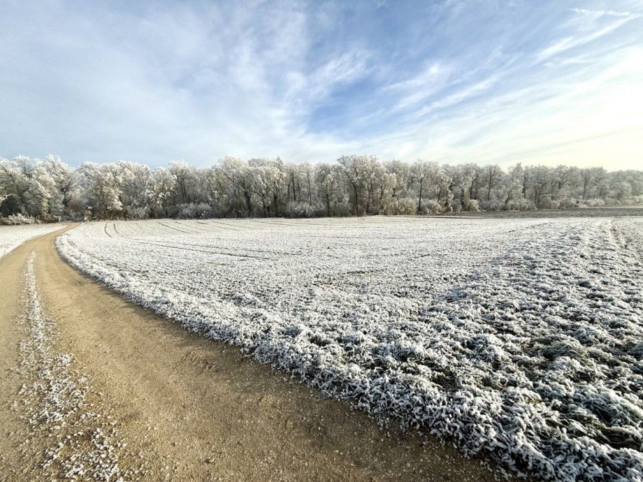 2 Land- / Forstwirtschaft - Grdst. Z�schingen