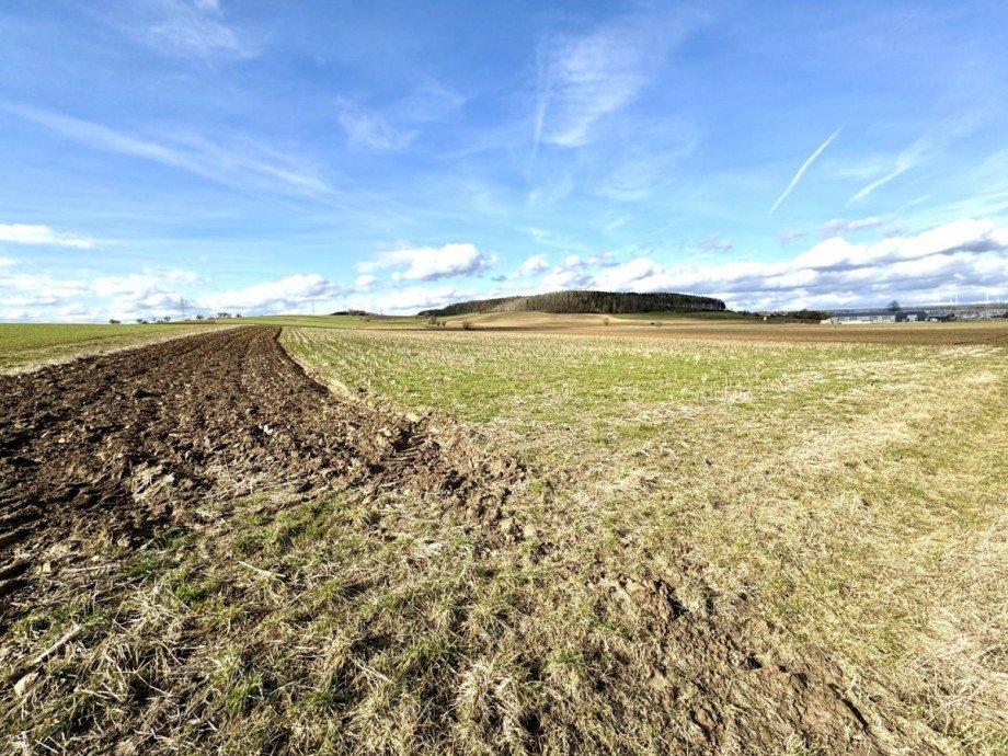 2 Land- / Forstwirtschaft - Grdst. Bachhagel