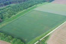 3 3,82 ha Ackerland in Haunsheim, 1a Lage, 1a Ertr�ge, 1a Investment