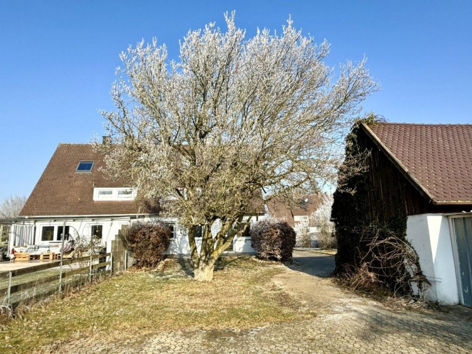 6 Doppelhaush�lfte Lauingen