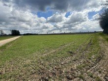 4 Die seltene Gelegenheit f�r ihren Betrieb! 1,19 ha Ackerland in Wittislingen