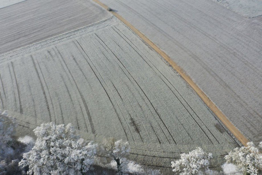 8 Land- / Forstwirtschaft - Grdst. Z�schingen