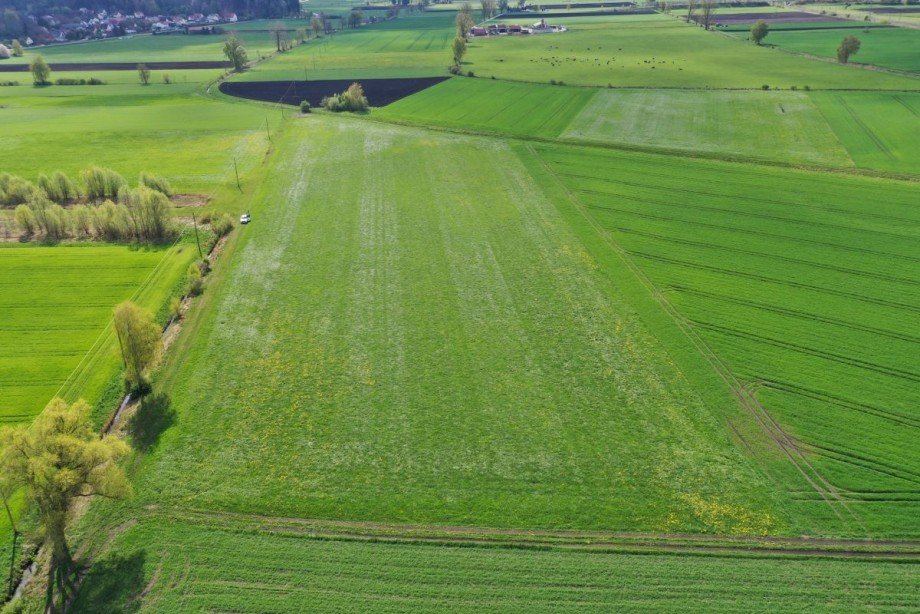 2 Land- / Forstwirtschaft - Grdst. Konzenberg