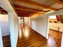 17 2 H�user - 1 Preis! Wohn- u. Gesch�ftshaus in Lauingen, 700m2 !!!
