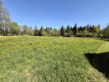 9 3704m2 Baugrund direkt an der Donau in Lauingen! Ihr neuer Premiumbauplatz!