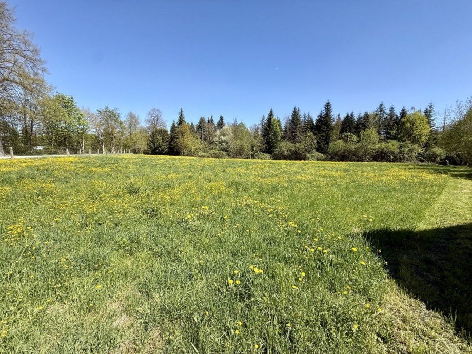 9 Wohngrundst�ck Lauingen