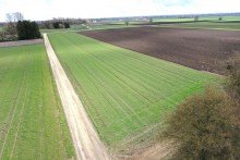 1 Die seltene Gelegenheit f�r ihren Betrieb! 1,19 ha Ackerland in Wittislingen