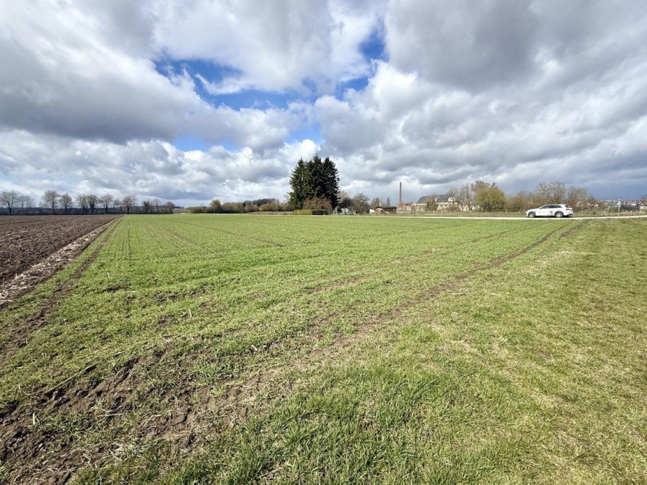 5 Grundst�ck Wittislingen