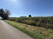 4 0,89 ha Ackerland in Lauingen, 1a Lage, 1a Ertr�ge, 1a Investment, sofort verf�gbar!