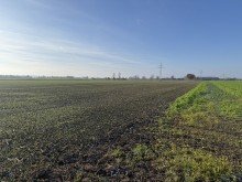 3 1,13 ha Ackerland in Lauingen, 1a Lage, 1a Ertr�ge, 1a Investment, zeitnah verf�gbar!