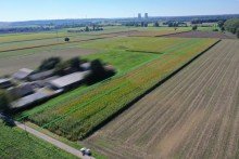 1 0,89 ha Ackerland in Lauingen, 1a Lage, 1a Ertr�ge, 1a Investment, sofort verf�gbar!