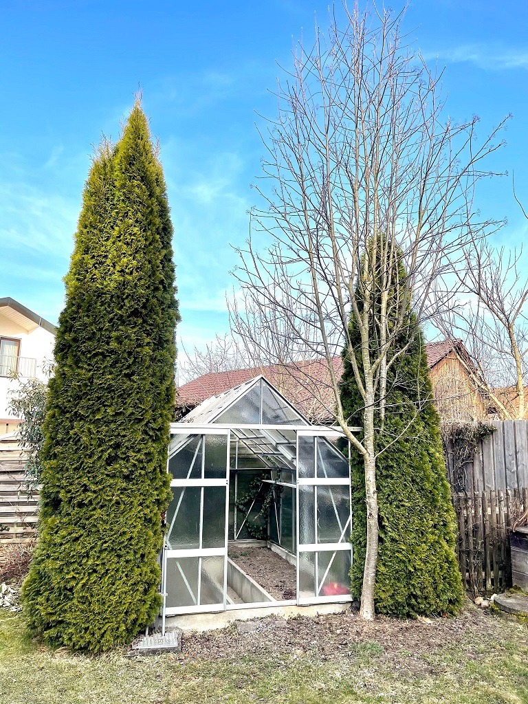 9 Haus Syrgenstein