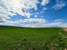 IMG 2684 1,56 ha Ackerland/Gr�nland/ landw. Fl�chen in G�ppingen - Bezgenriet /  tolles Investment