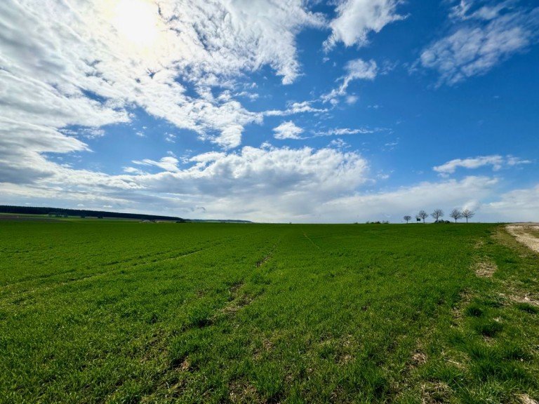 IMG 2684 Land- / Forstwirtschaft - Grdst. 1,56 ha Ackerland/Gr�nland/ landw. Fl�chen in G�ppingen - Bezgenriet / tolles Investment
