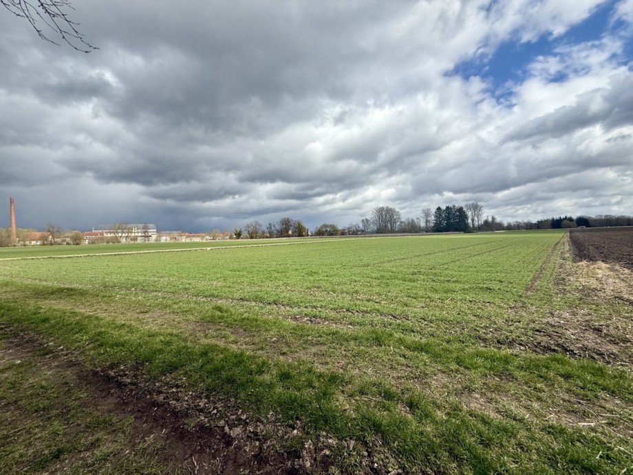 6 Grundst�ck Wittislingen