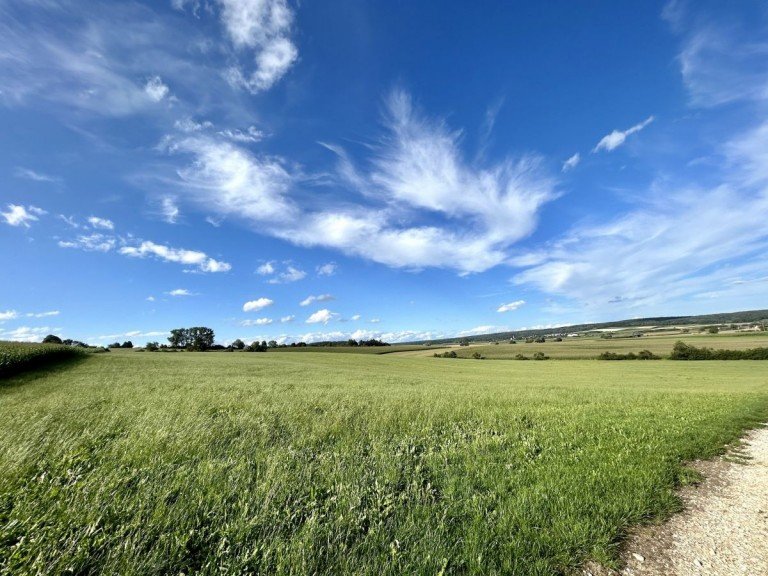 1 Grundst�ck Gr�nland / Wiese 5,1 ha in gefragter Lage !