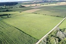 5 Gr�nland / Wiese 5,1 ha in gefragter Lage !
