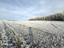 3 0,68 ha Ackerland in Z�schingen, 1a Lage,  1a Ertr�ge, 1a Investment