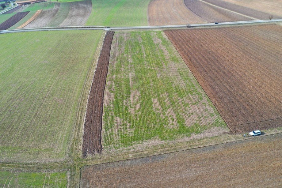 4 Land- / Forstwirtschaft - Grdst. Bachhagel