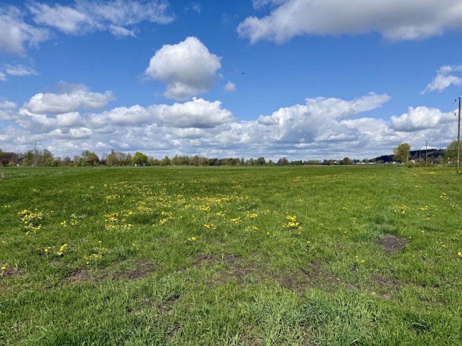 4 Land- / Forstwirtschaft - Grdst. Konzenberg