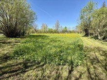 8 3704m2 Baugrund direkt an der Donau in Lauingen! Ihr neuer Premiumbauplatz!