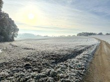 4 0,68 ha Ackerland in Z�schingen, 1a Lage,  1a Ertr�ge, 1a Investment