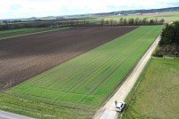 Bild (9356f7dd08c03056684b0f00e4b145ae): Die seltene Gelegenheit f�r ihren Betrieb! 1,19 ha Ackerland in Wittislingen