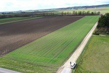 2 Die seltene Gelegenheit f�r ihren Betrieb! 1,19 ha Ackerland in Wittislingen