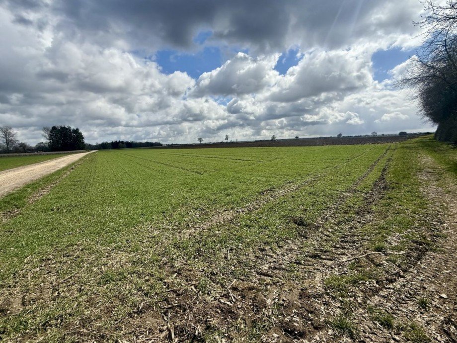 4 Grundst�ck Wittislingen