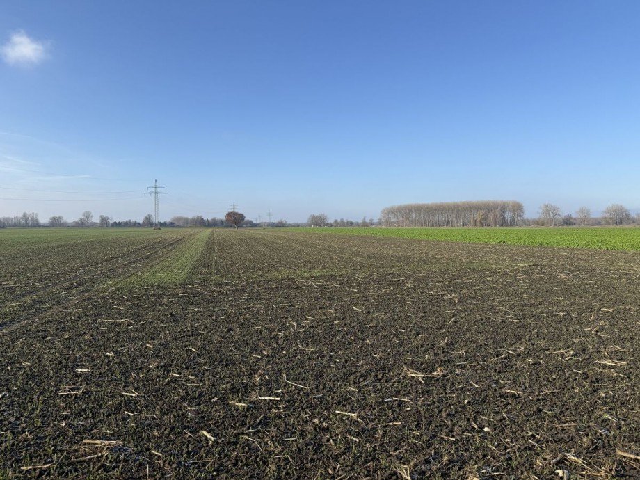 2 Land- / Forstwirtschaft - Grdst. Lauingen