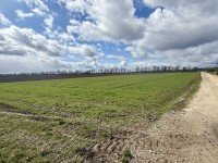 Bild (a3aad5d6fc2e53bdee80a30832ca66a7): Die seltene Gelegenheit f�r ihren Betrieb! 1,19 ha Ackerland in Wittislingen