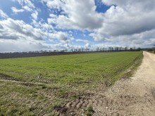 3 Die seltene Gelegenheit f�r ihren Betrieb! 1,19 ha Ackerland in Wittislingen