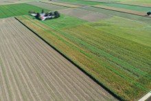 2 0,89 ha Ackerland in Lauingen, 1a Lage, 1a Ertr�ge, 1a Investment, sofort verf�gbar!