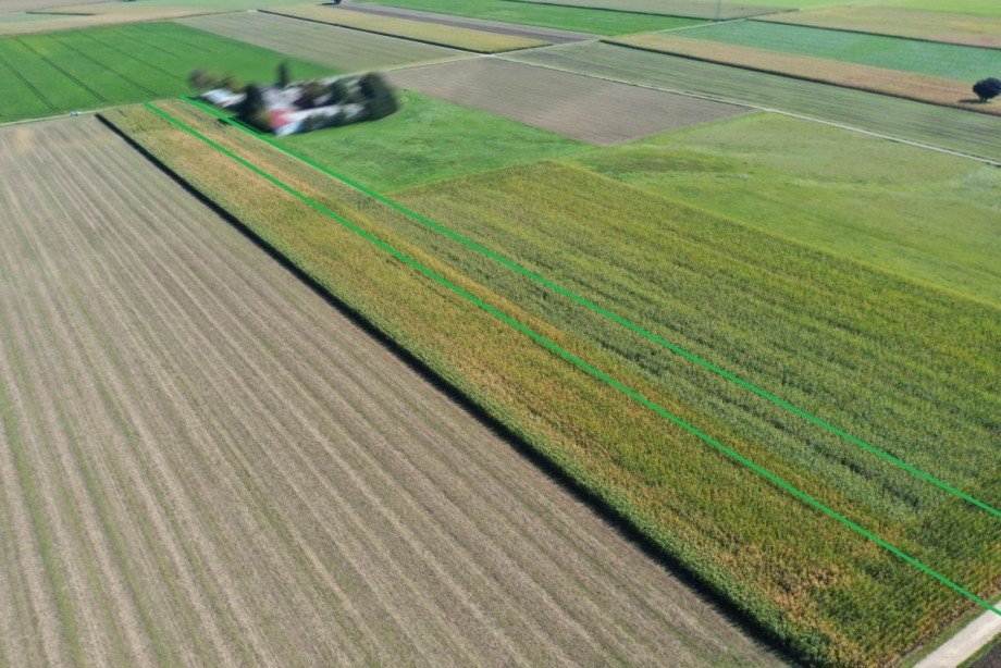 2 Land- / Forstwirtschaft - Grdst. Lauingen