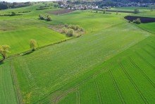 1 2,6 ha Ackerland im Landkreis G�nzburg! 1a Lage, 1a Ertr�ge, 1a Investment!