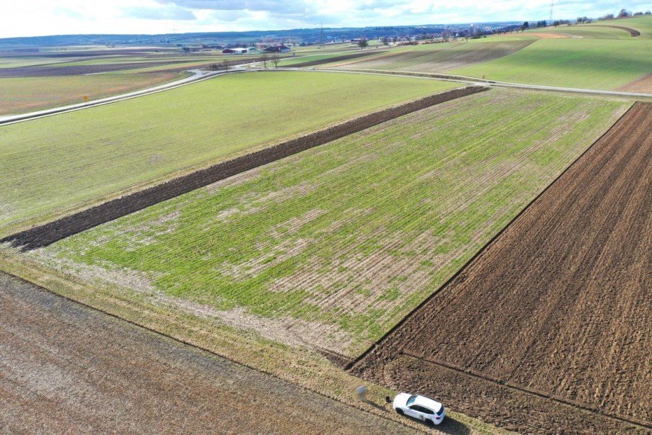 3 Land- / Forstwirtschaft - Grdst. Bachhagel