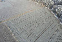 7 0,68 ha Ackerland in Z�schingen, 1a Lage,  1a Ertr�ge, 1a Investment