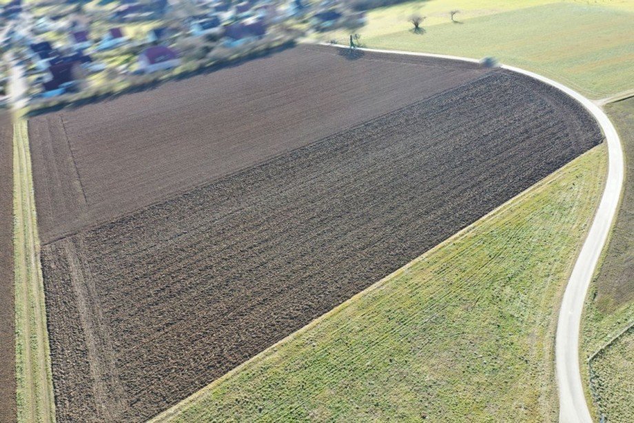 3 Land- / Forstwirtschaft - Grdst. Haunsheim