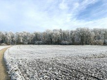1 0,68 ha Ackerland in Z�schingen, 1a Lage,  1a Ertr�ge, 1a Investment