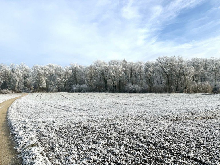 1 Z�schingen Land- / Forstwirtschaft - Grdst. 0,68 ha Ackerland in Z�schingen, 1a Lage, 1a Ertr�ge, 1a Investment