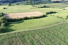 7 Gr�nland / Wiese 5,1 ha in gefragter Lage !
