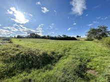 3 Gr�nland / Wiese 5,1 ha in gefragter Lage !