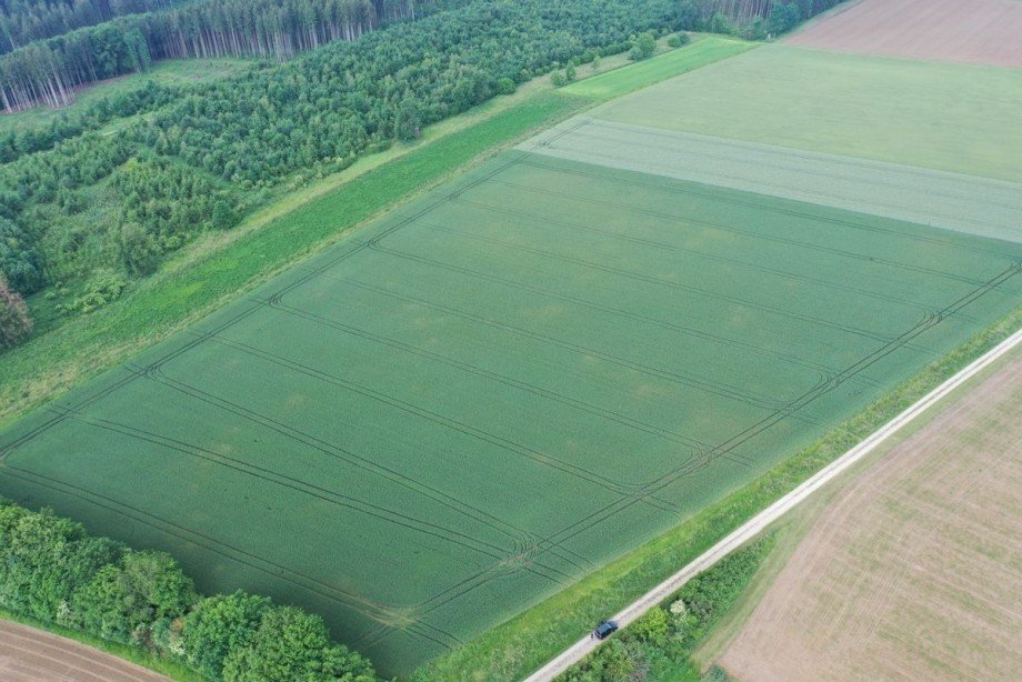 3 Land- / Forstwirtschaft - Grdst. Haunsheim