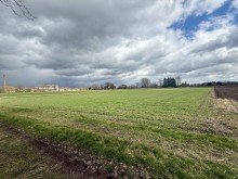 6 Die seltene Gelegenheit f�r ihren Betrieb! 1,19 ha Ackerland in Wittislingen